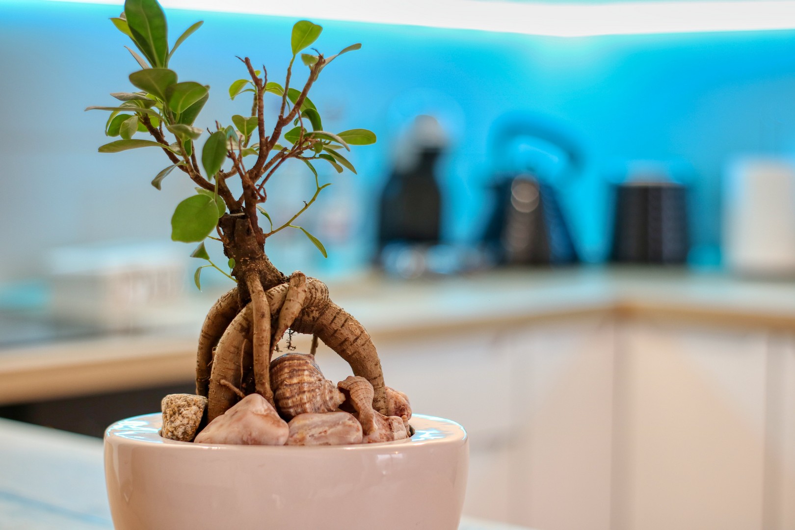 fotografie imobiliara